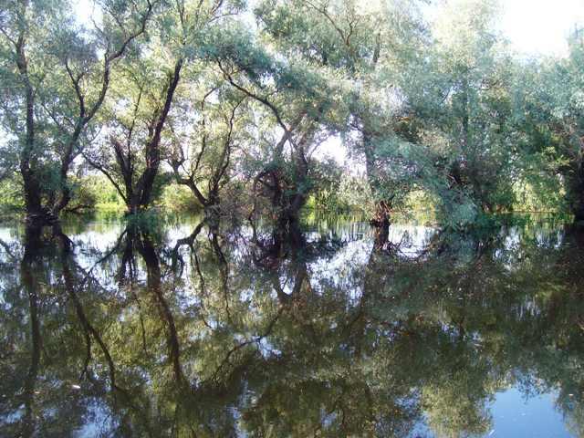 Doar ... NATURA  - 2 - sany0803.JPG